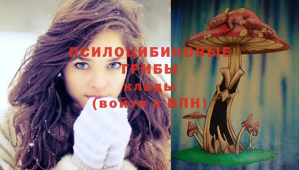 марки lsd Бородино
