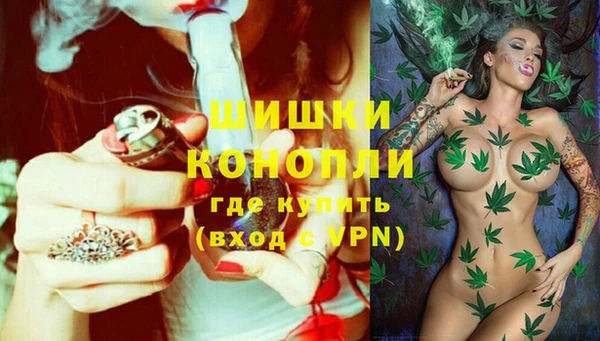 марки lsd Бородино