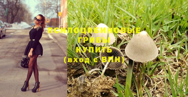 Альфа ПВП Верхний Тагил