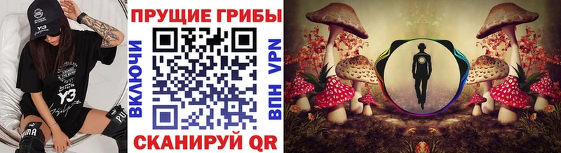 Галлюциногенные грибы GOLDEN TEACHER  наркотики  Екатеринбург 